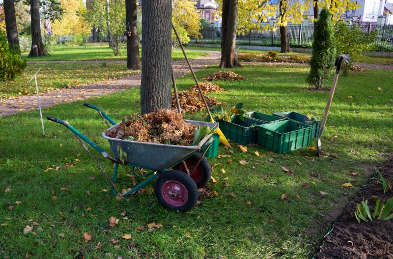 Ditch Leaf Removal