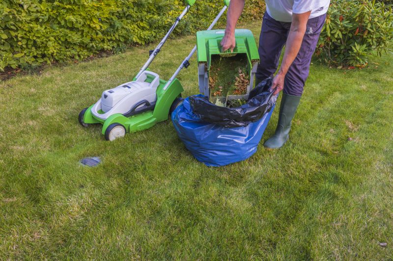Lawn Debris Cleanup detail