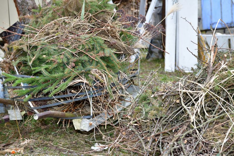 Lawn Debris Cleanup detail