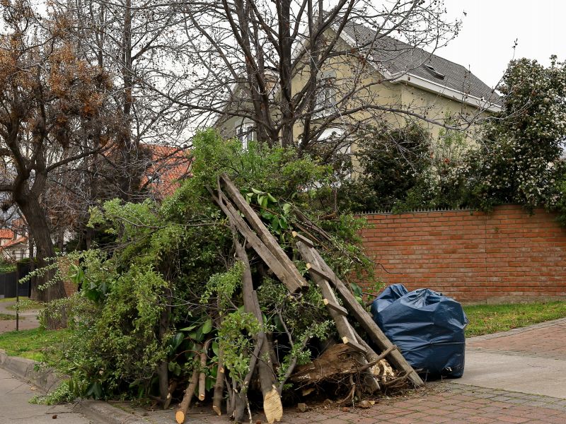 Lawn Debris Cleanup detail