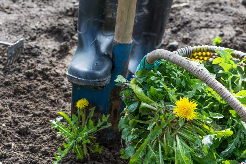 Garden Deweeding
