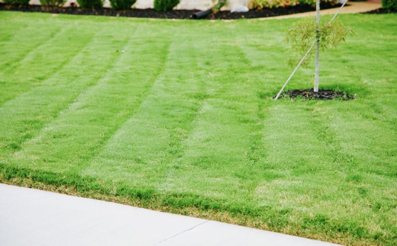Trimmed and Edged Lawn