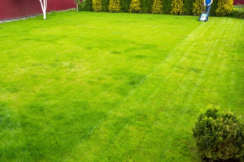 Garden and Lawn Clearing