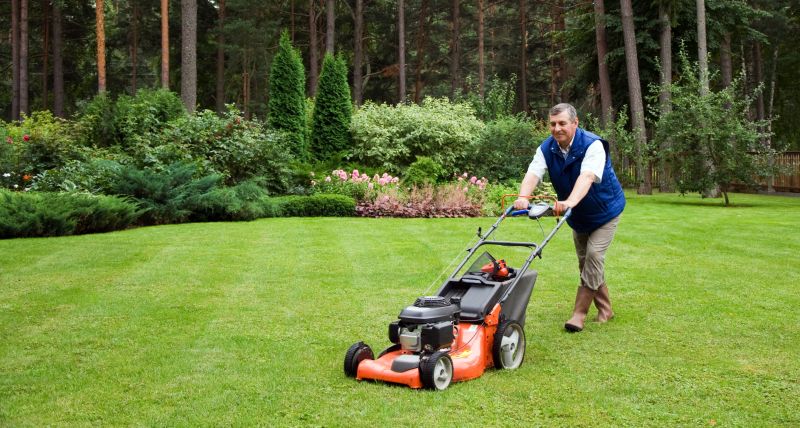 Summer Lawn Maintenance