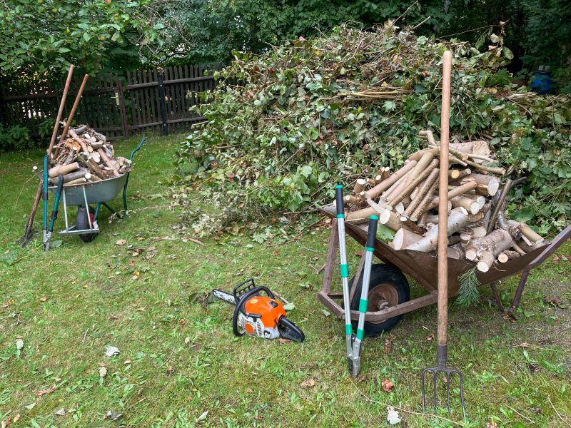 Leaf Removal