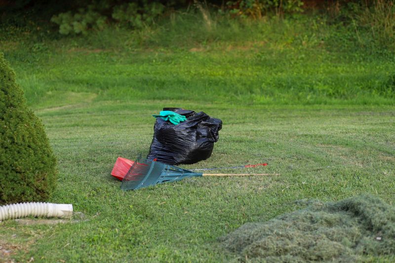 Yard Cleanup Service