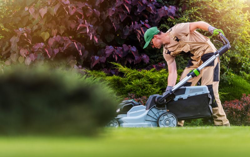 Local Lawn Clean Up Service pros at work
