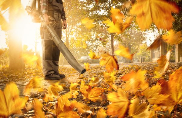 Cost of Leaf Blowing Service in Bothell