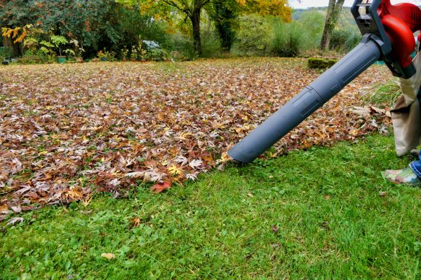 Cost of Leaf Vacuuming Service in Bothell