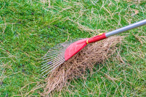 Cost of Yard Raking in Bothell