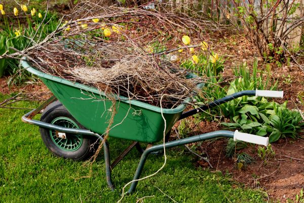 Cost of Lawn Waste Removal in Bothell